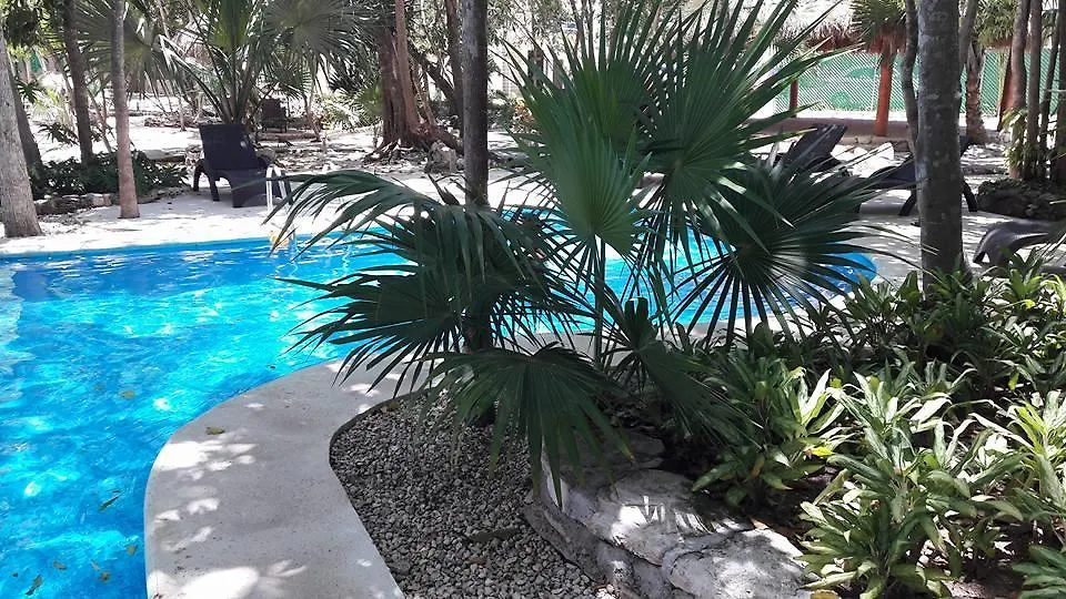 Casa Palma Real J&B Hotel Puerto Morelos Feriehus